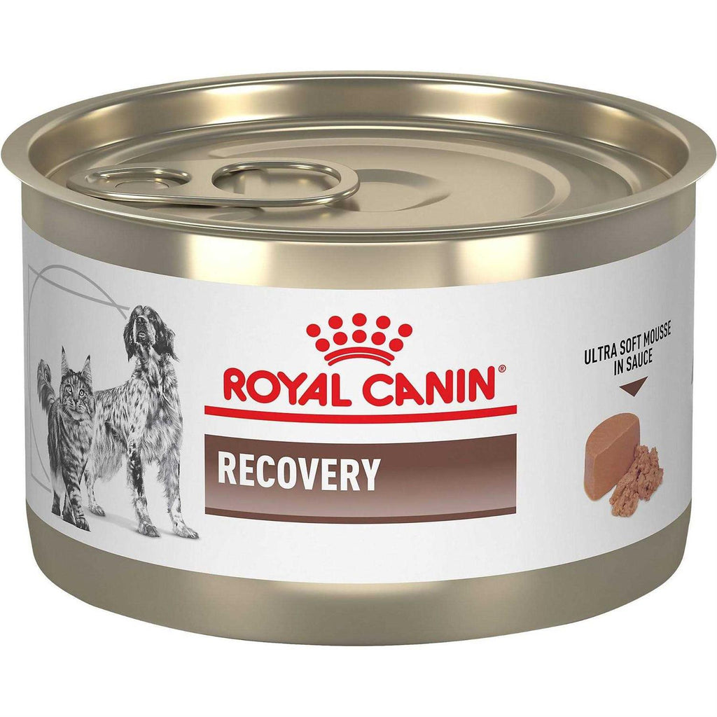Recovery Ultra Soft Mousse in Sauce Wet Dog & Cat Food L4920