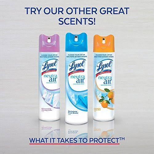 Fresh Air Sanitizing Spray, 10 oz X979523