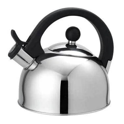 Stainless Steel Tea Kettle Y702228