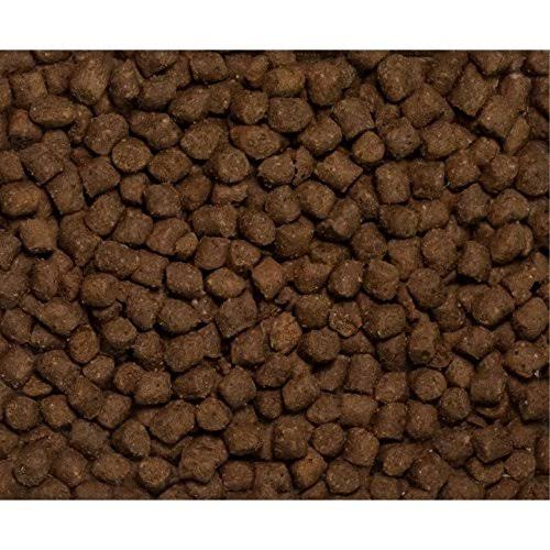 Dry Ferret Food D78229