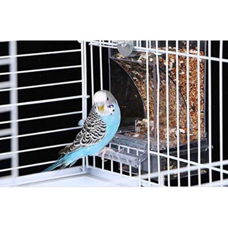 Automatic Bird Feeder I113