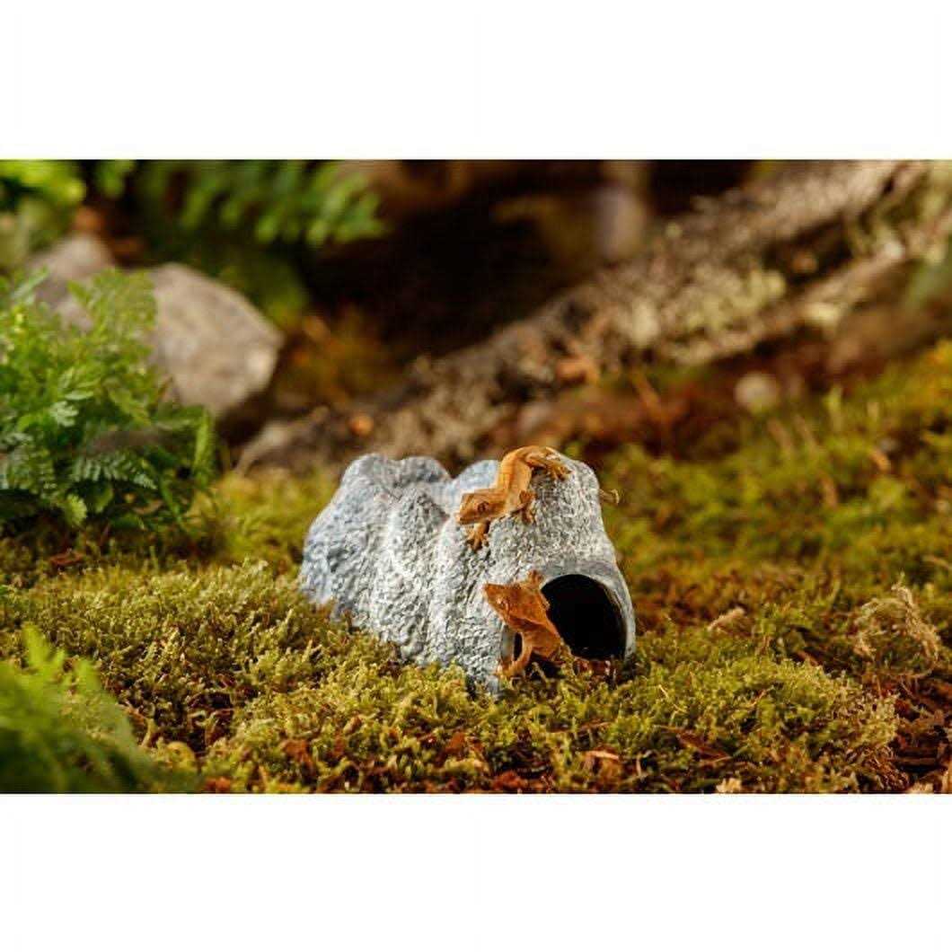 Wet Rock Cave R568