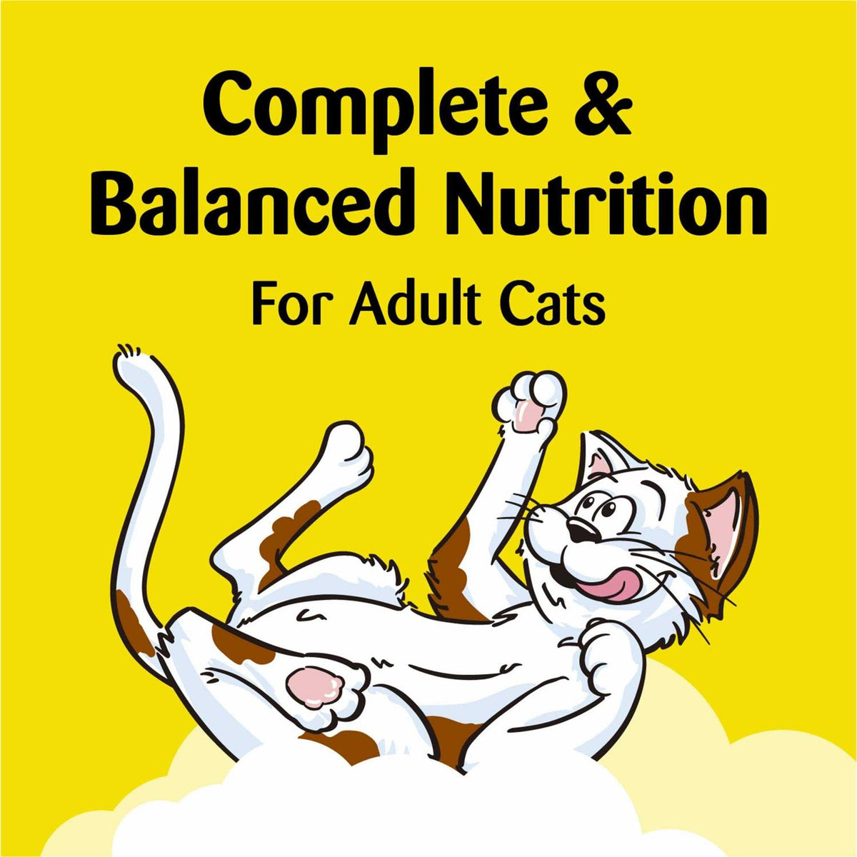 Savory Salmon Flavor Cat Treats P496