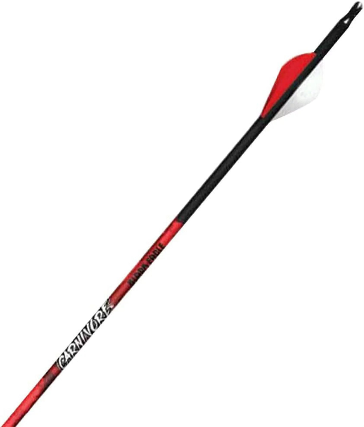 .001" 6 Pack Arrows L684054