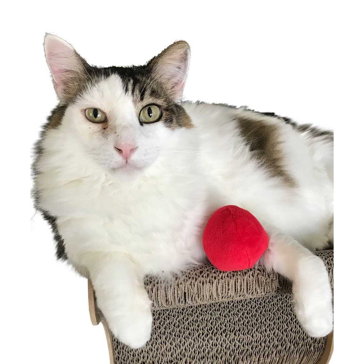 12 Pack Plush Squeaky Balls K258830