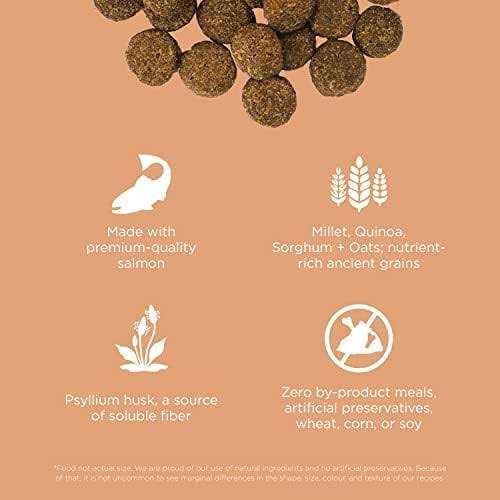 Salmon Recipe with Ancient Grains Dog Food K268223