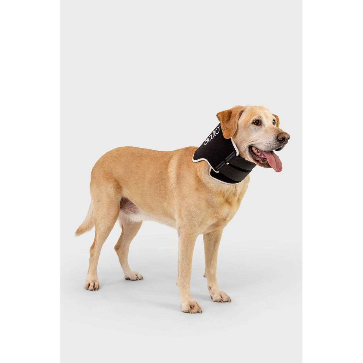 Dog Cone Alternative E-Collar N8074