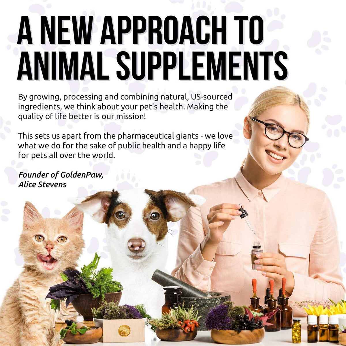 10 In 1 Cat & Dog Multivitamin Hip & Joint Vitamins A55705