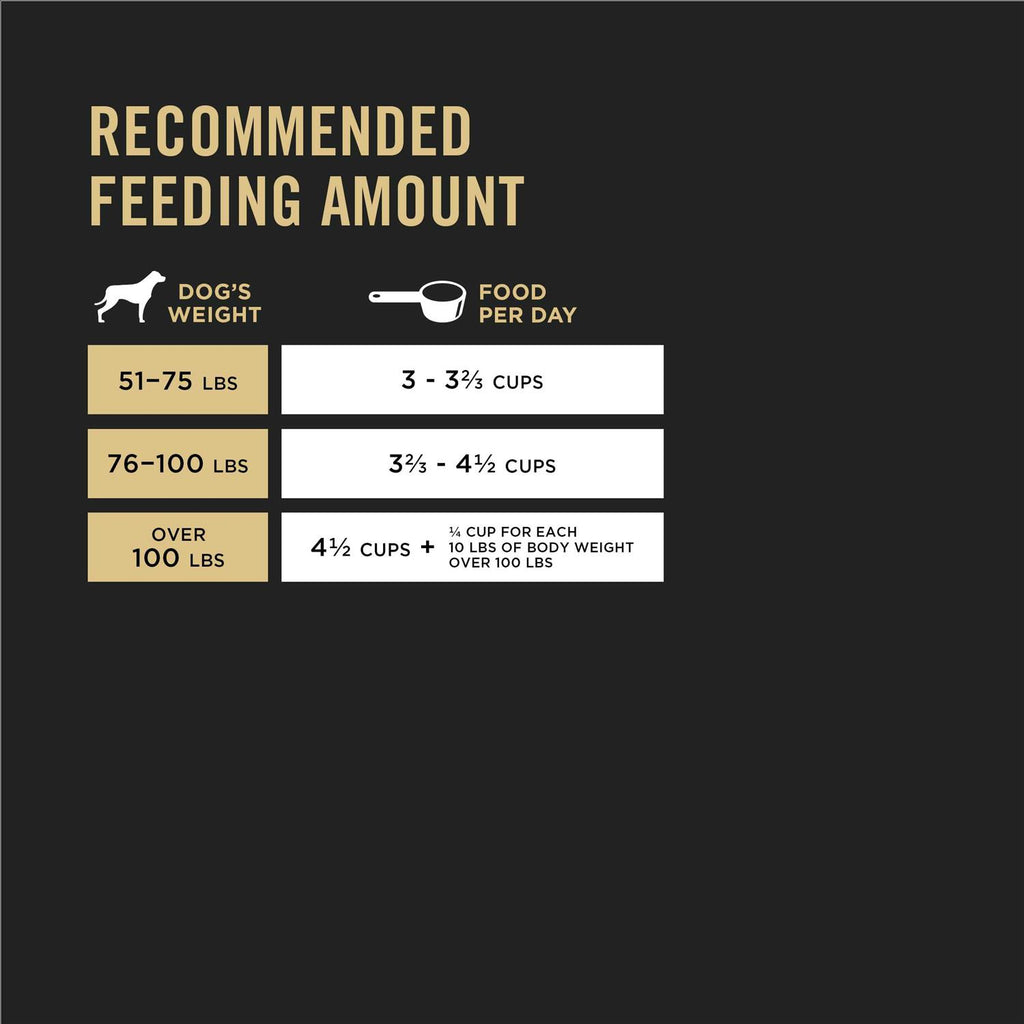 Adult Large Breed Formula Dry Dog Food L121894