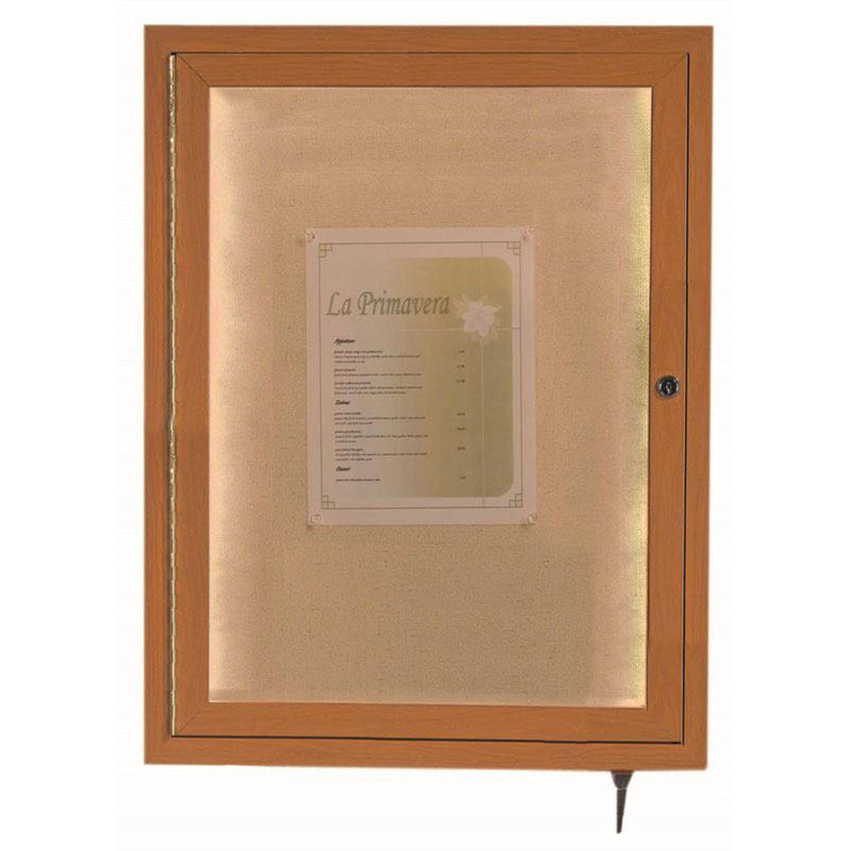 LED Lighted Display Case 24inH x 18inW X76064