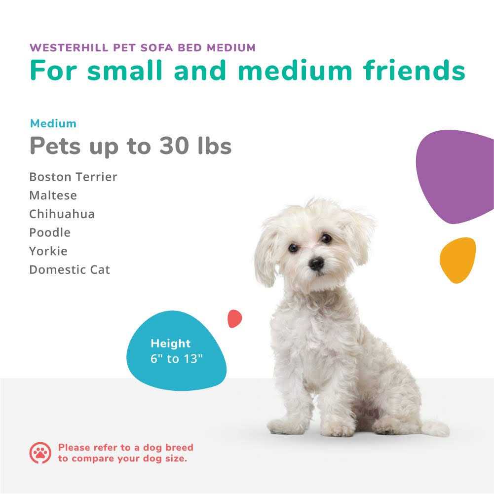 Pet Sofa Bed T979