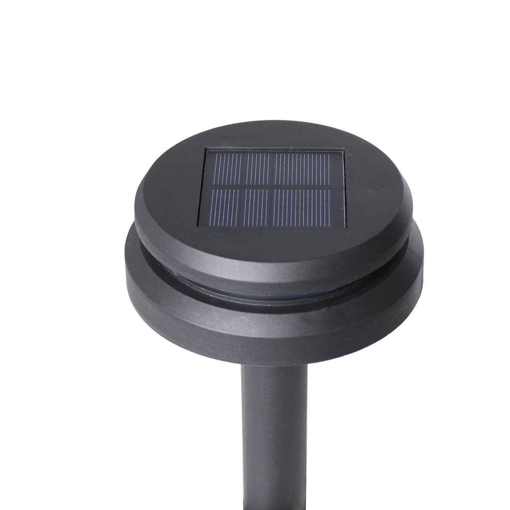 6-Count Solar-Powered Dual Direction Pathway LED Light Set W79534