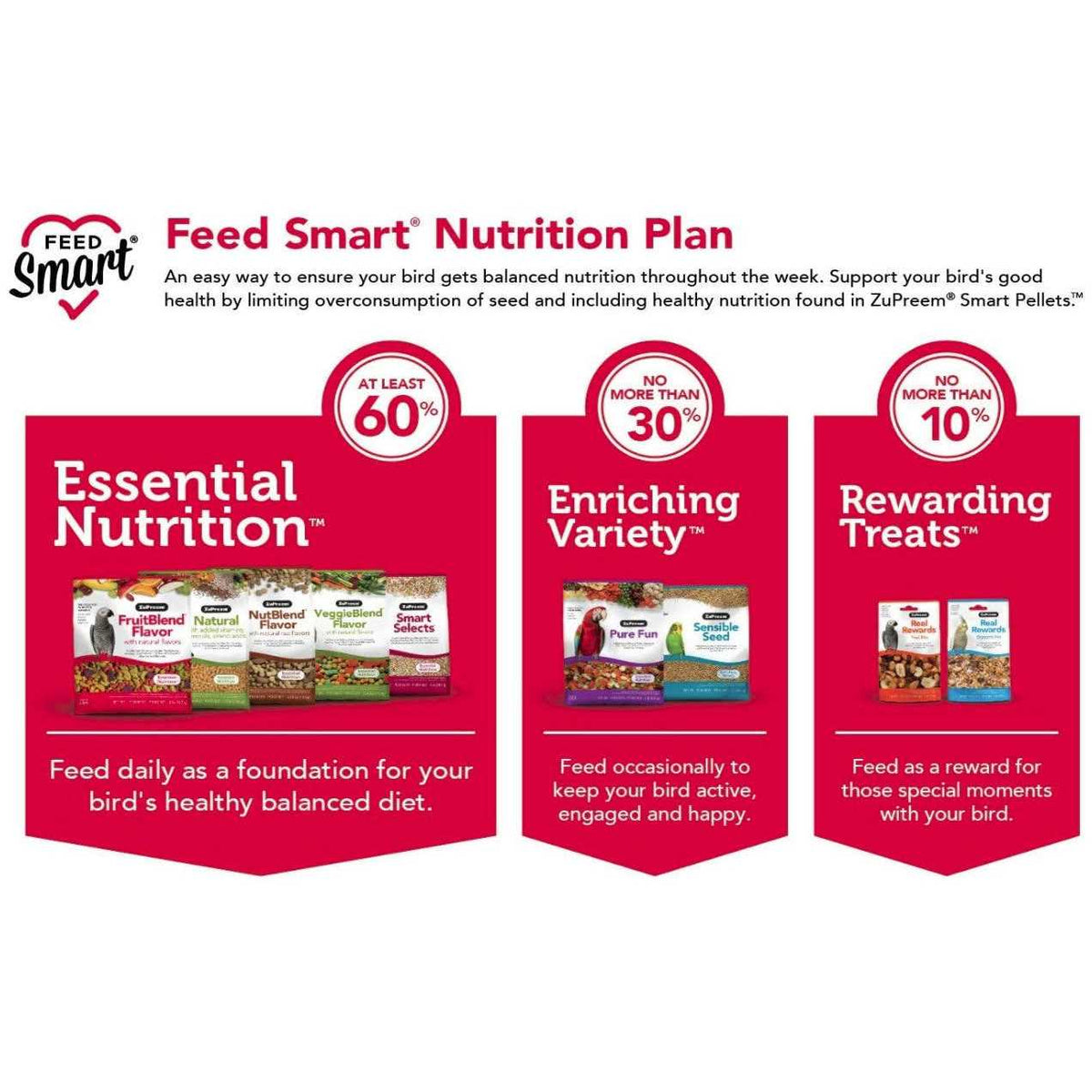 Pure Fun Bird Food A964150