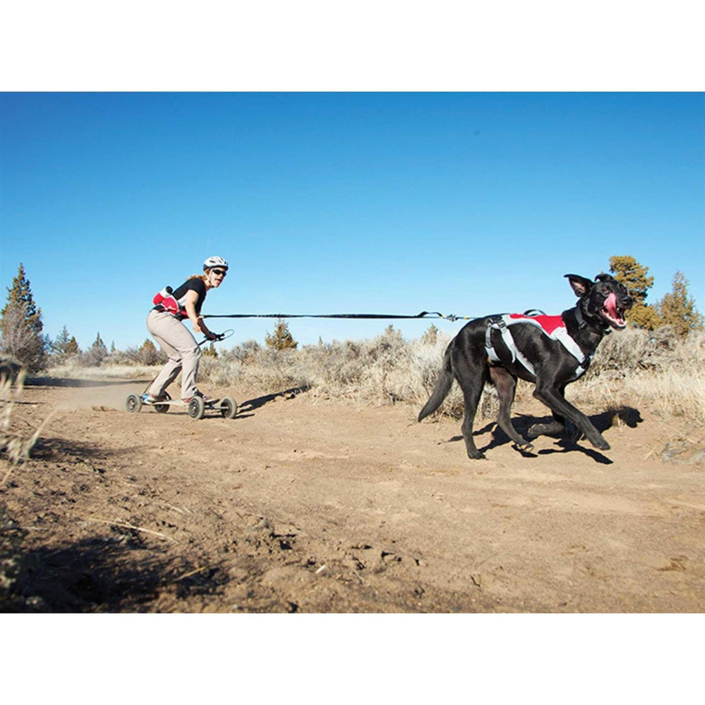 Joring System A1541