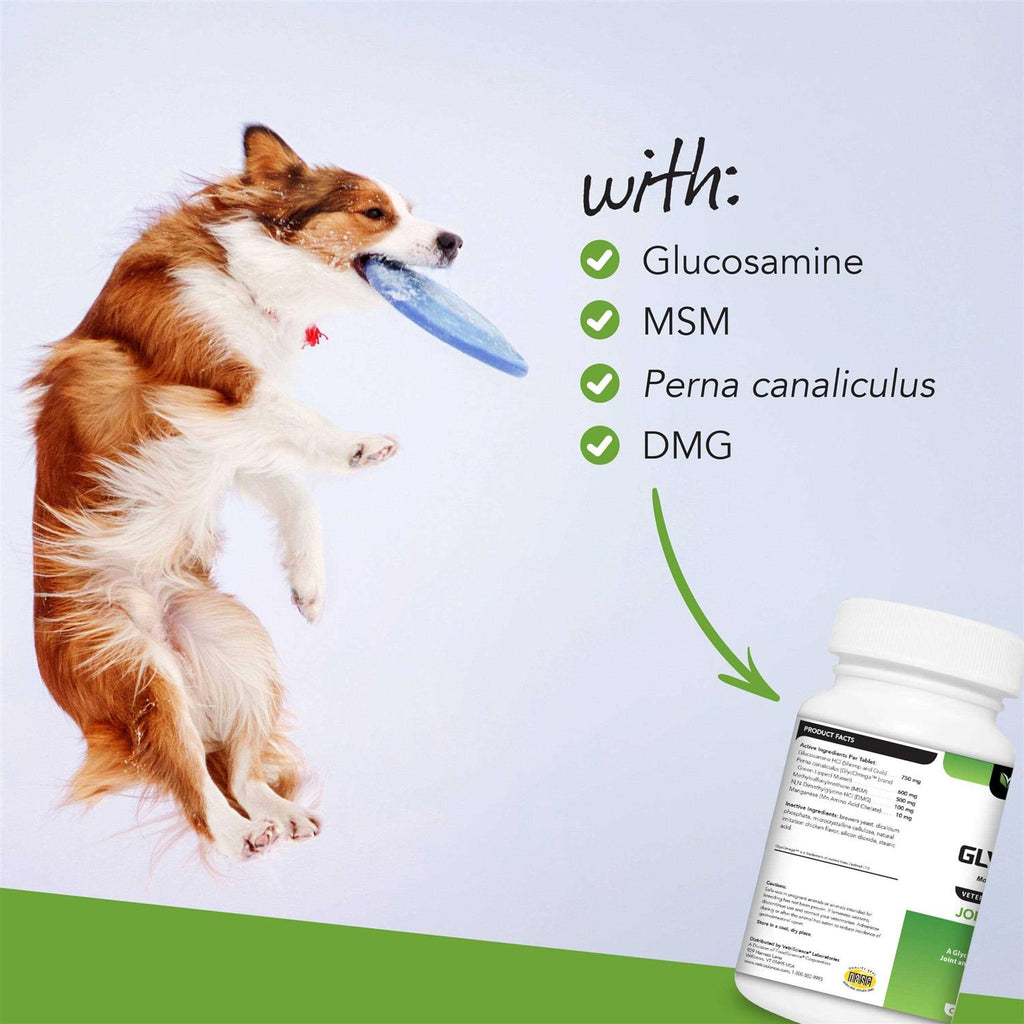 Dog Pet Supplies L439187