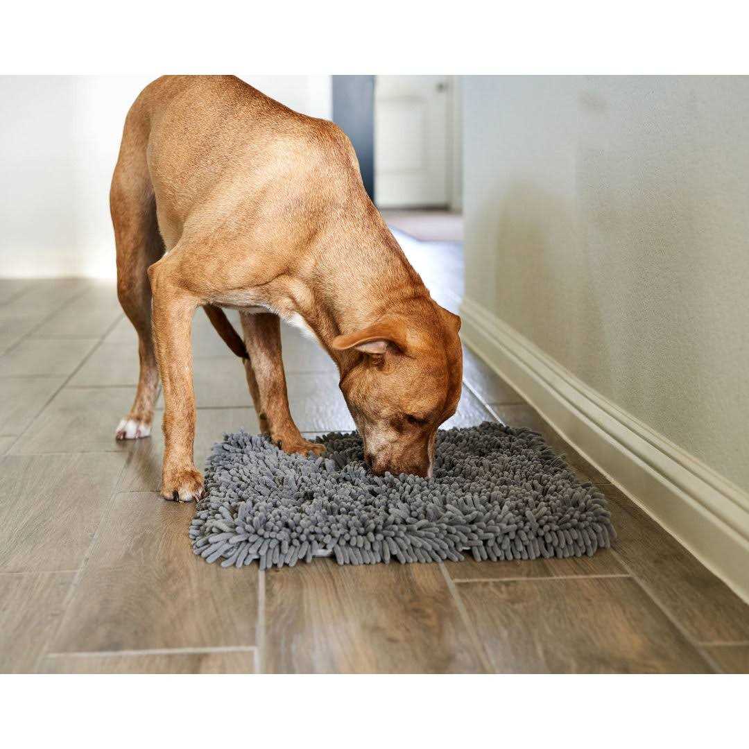 Slow Feeder Cat & Dog Snuffle Mat W193
