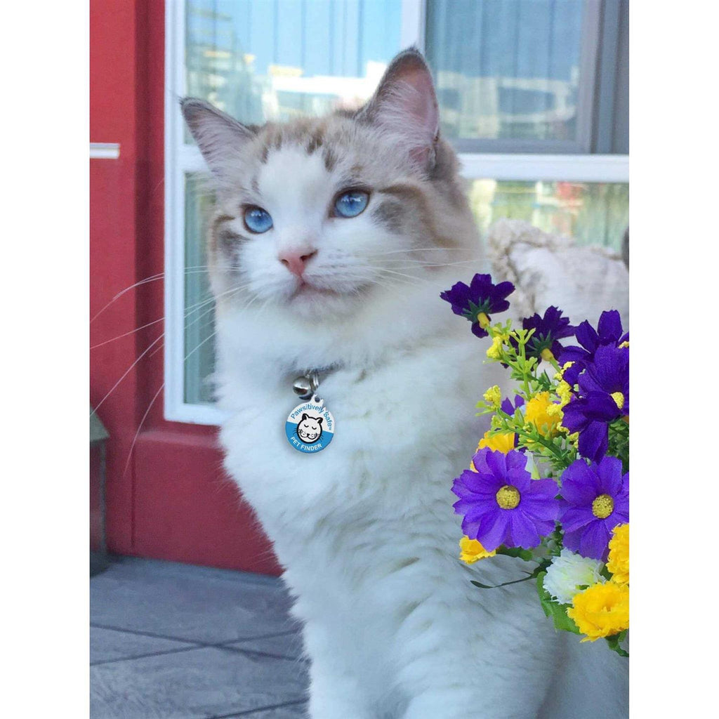 Dog Cat Pet Tag D3234