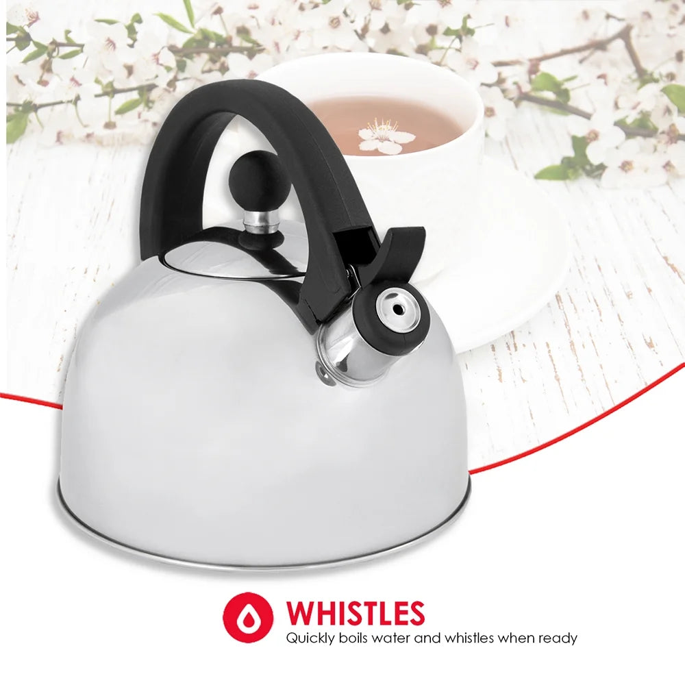 Stainless Steel Tea Kettle Y702228