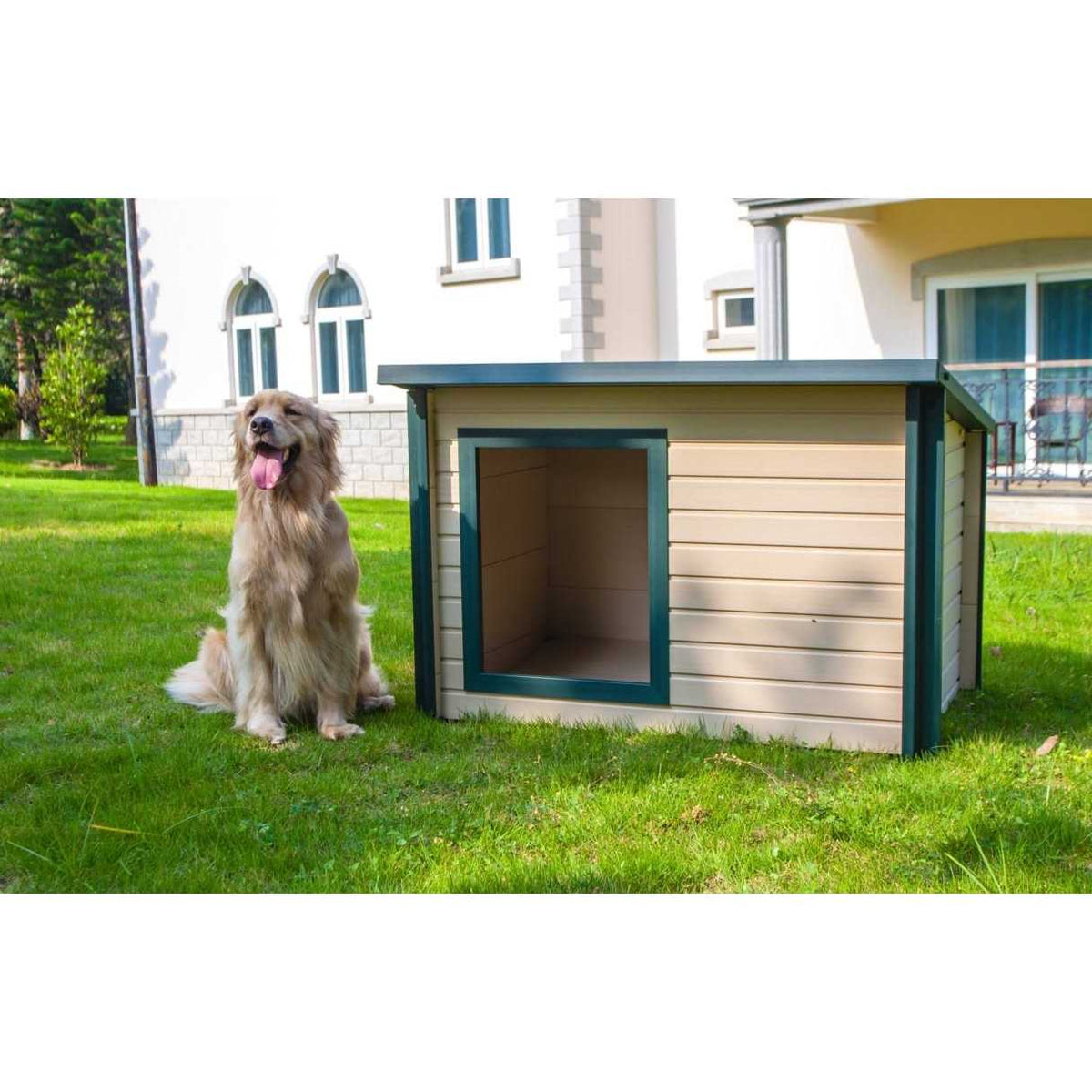 EcoFLEX Rustic Lodge D263